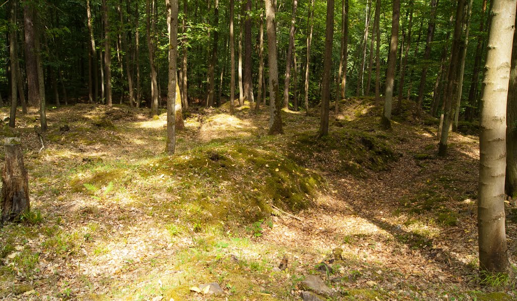 Umfeld der Grabungen bei der "Villa Rustica" (römischer Gutshof) im Bingerwald by Der SIGGY