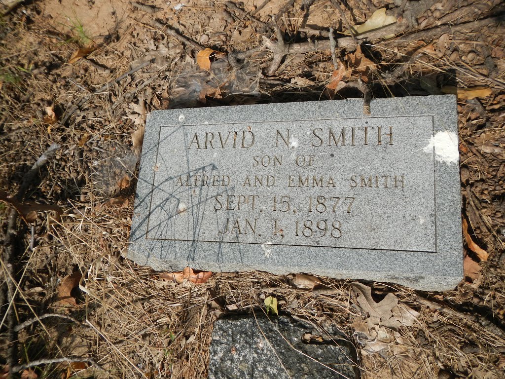 ArvidNSmith by Robert Selden