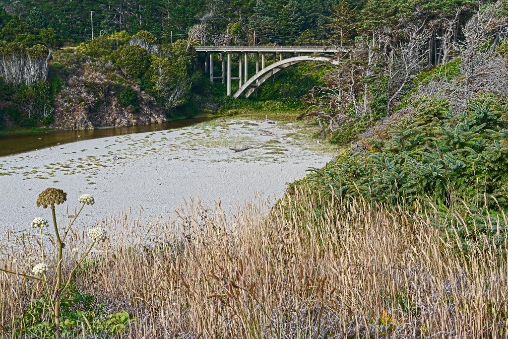 Jug Handle State Reserve (4): That's Water under the Bridge by Jon Kogut