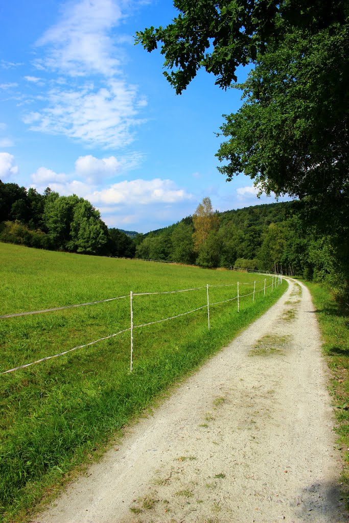 KE - Weiltalwanderweg zwischen Rod an der weil und Emmershausen by Karl Eggenmüller