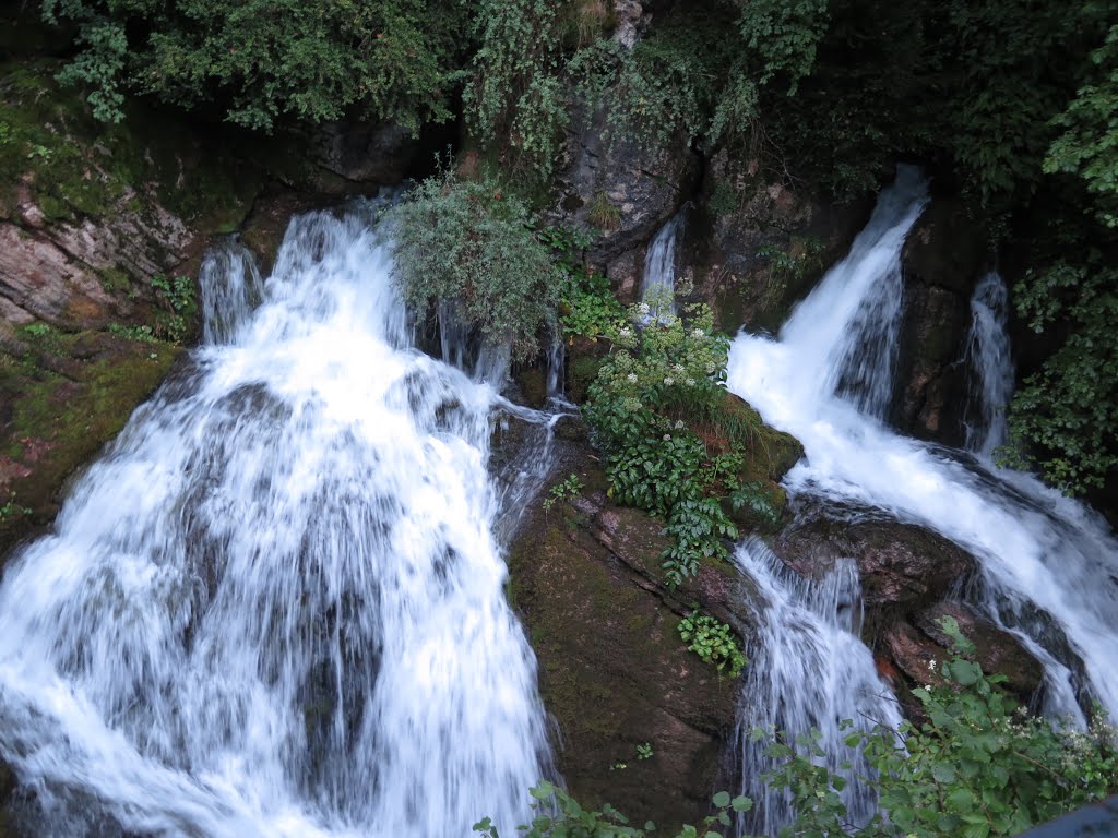 Castellar de n'Hug, 08696, Barcelona, Spain by codina.ramon@gmail.c…