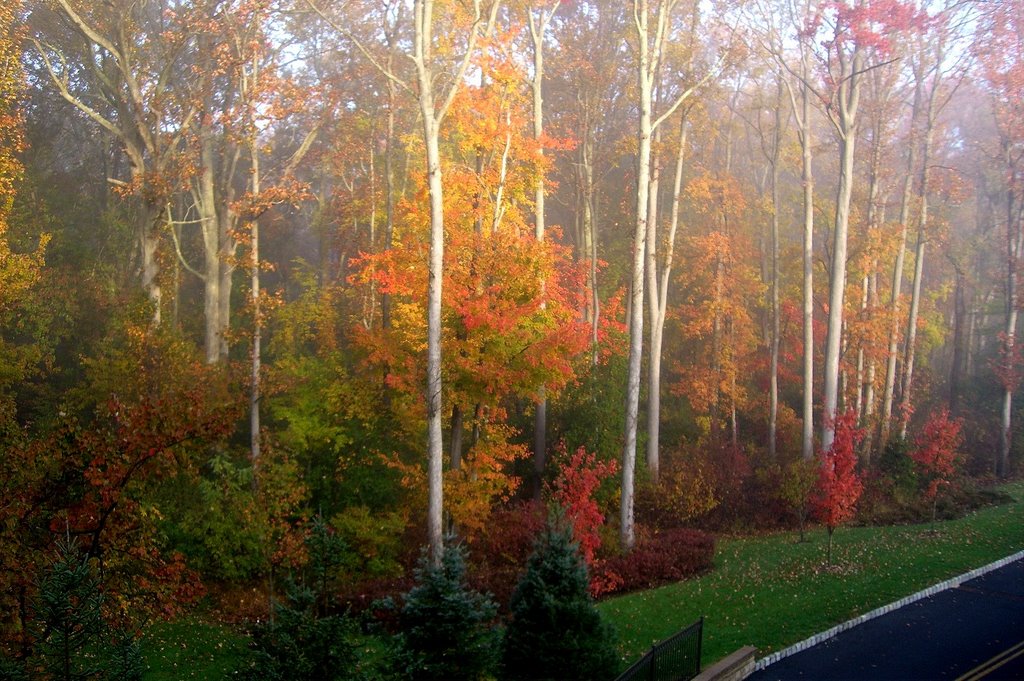 A misty fall morning by mom-mom springer