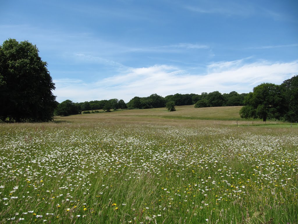 View from Bateman's, Bateman's Lane, Burwash, East Sussex by oldchippy