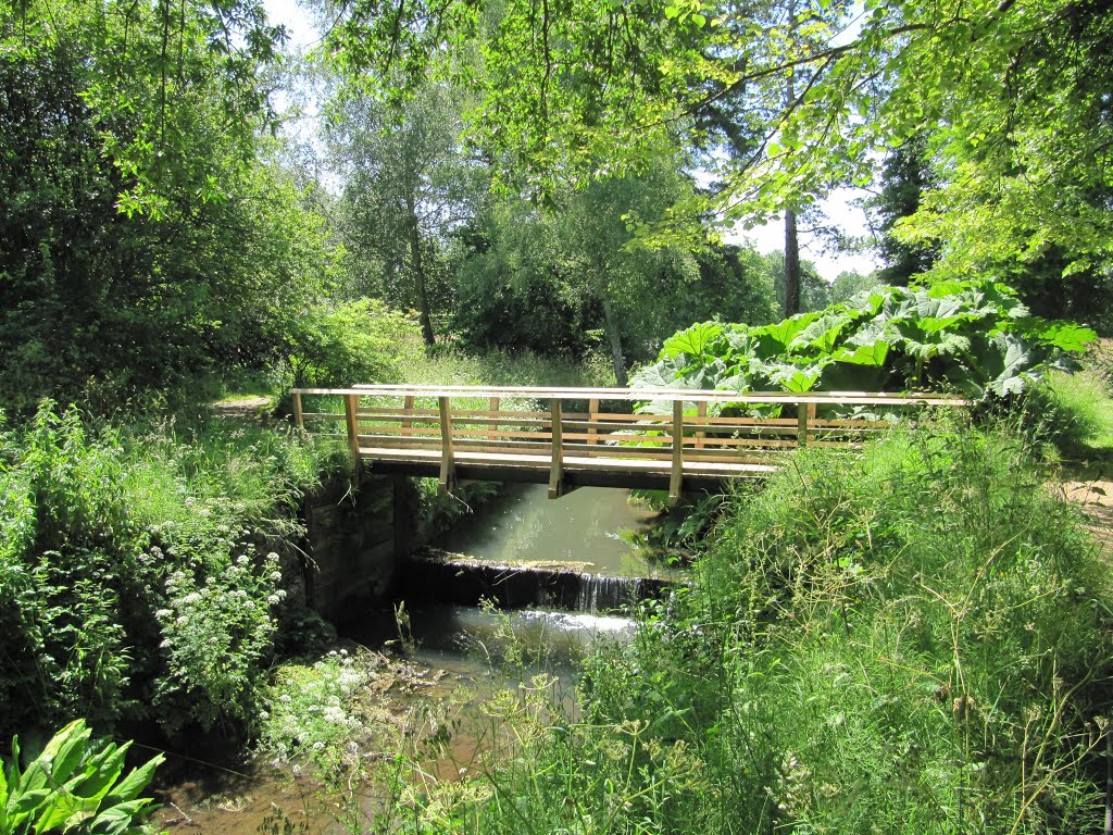 River Dudwell at Bateman's, Bateman's Lane, Burwash, East Sussex by oldchippy