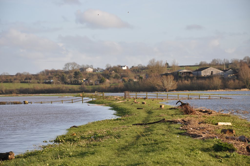 River bank - River Tone on LHS by Rob Davis