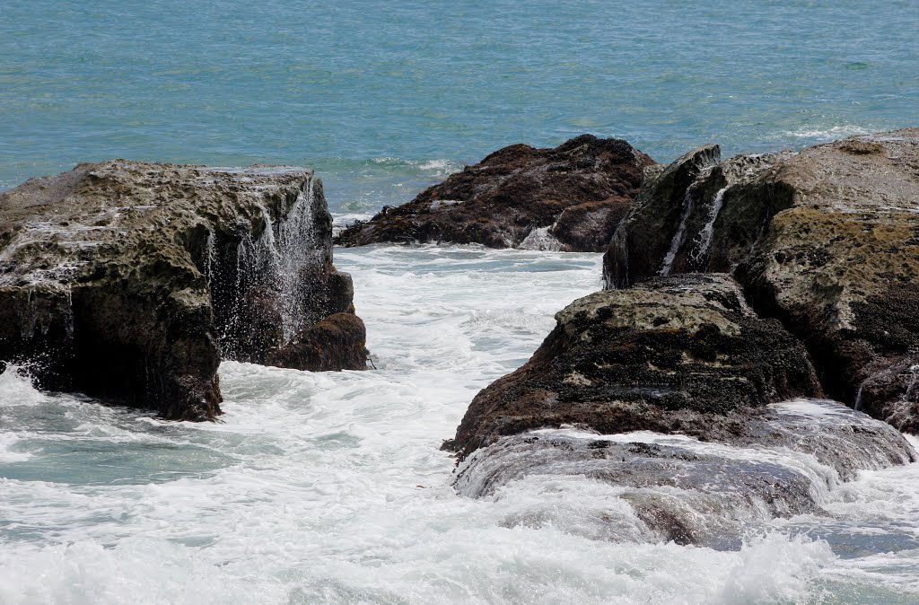 Rocks Next To The Ocean Institute by Jean Marshall