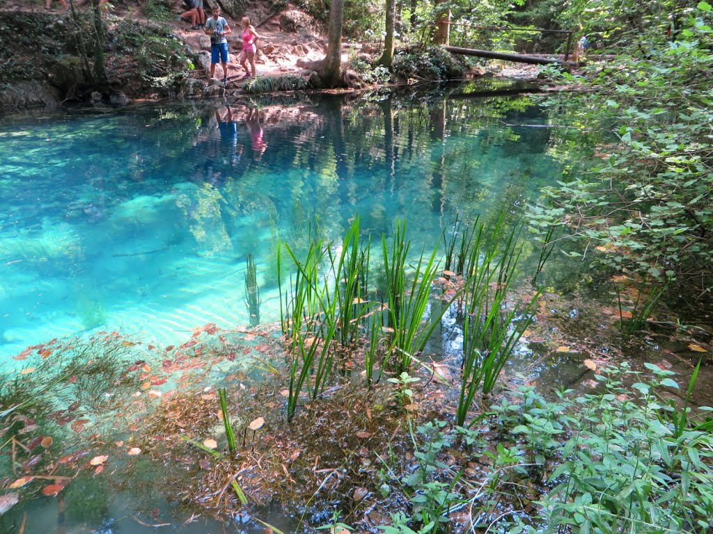 2015-08-01--15-34---IMG_6785---lacul Ochiul Bei.jpg by max max