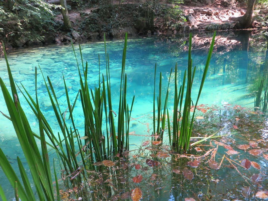 2015-08-01--15-40---IMG_6807---lacul Ochiul Bei.jpg by max max