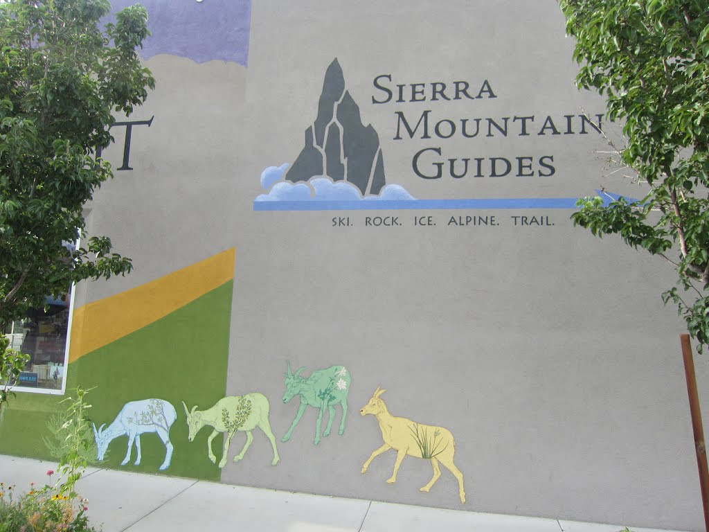 Migrating Mural: Sierra Nevada Bighorn Sheep, Bishop, California by Fred Helfing