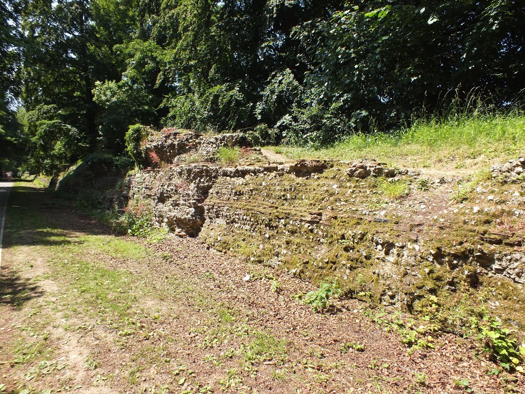 Roman Wall by Ozymandias