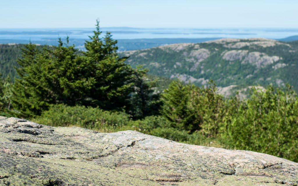 Acadia National Park, ME by Alexander Zaytsev