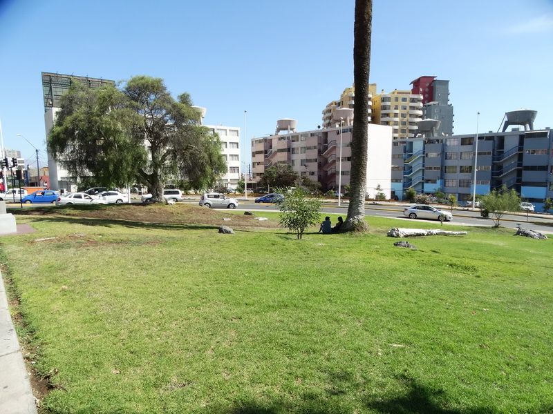 Jardín Japonés, vista hacia el Sur by Oscar Fernández C