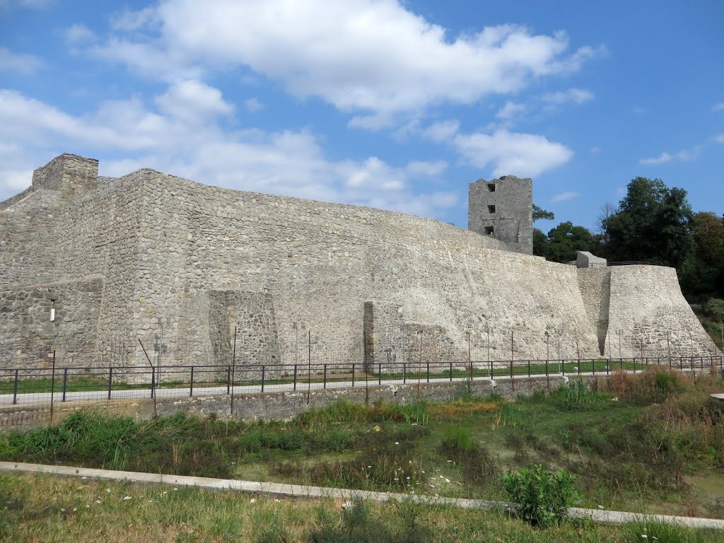 2015-08-02--10-58---IMG_7104---Cetatea Medievala a Severinului.jpg by max max