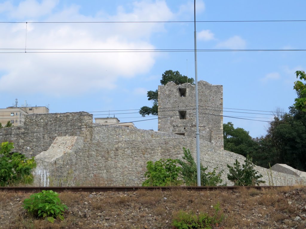 2015-08-02--11-07---IMG_7119---Cetatea Medievala a Severinului.jpg by max max