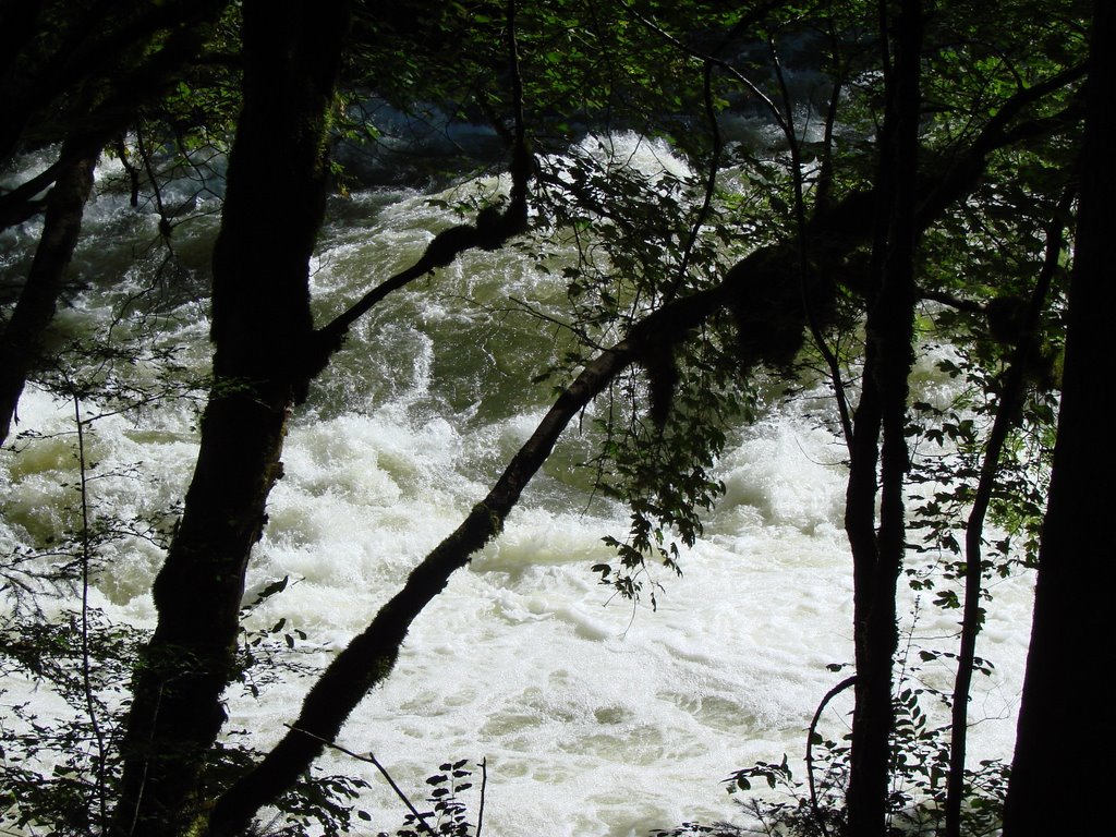 Le Saut du Doubs by MLeonard