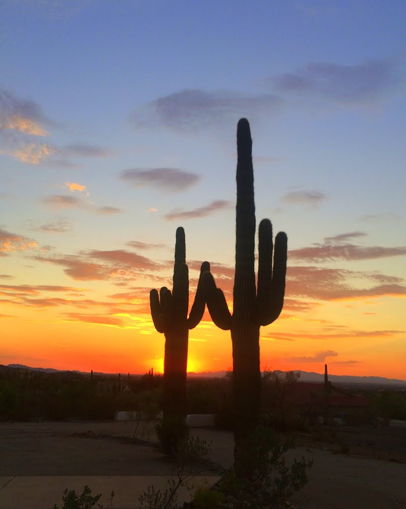 Sunset from South Mt, Phoenix, AZ, aug 15, 2015.IMG_4006 by Tom Dudones