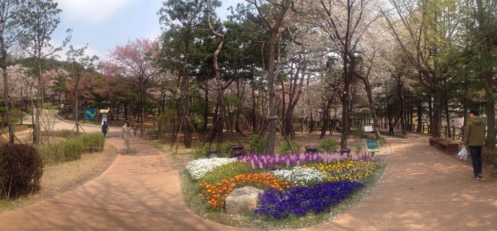 Namsan Outdoor Botanical Gargen(1) by 조형식(Hyoung Sig Cho)