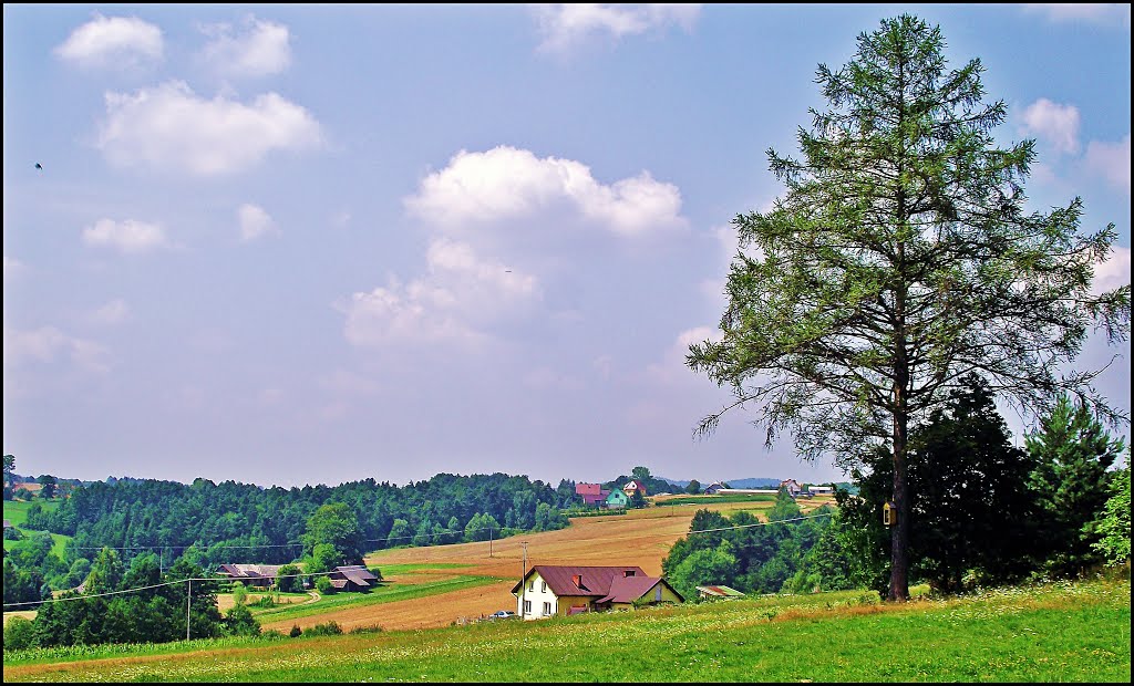 Jastrzębia lato 2015 by MIRAS