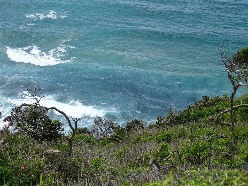 Wild Coast Wanderansicht by Frank M. Niepelt