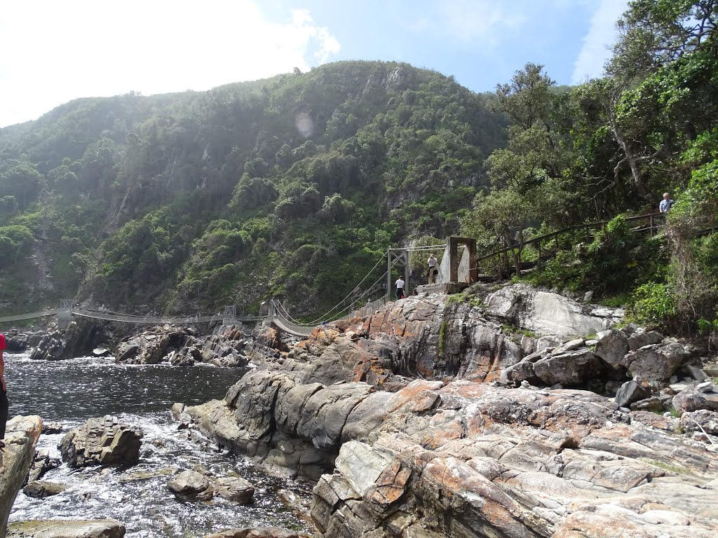 Tistsikamma NP Storm River Mouth by Frank M. Niepelt