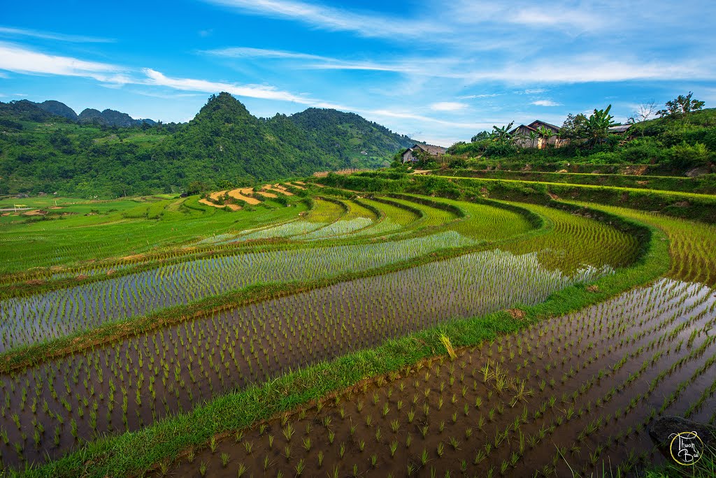 Ruộng bậc thang, xã Tân Văn, huyện Bình Gia by Thuận Bùi