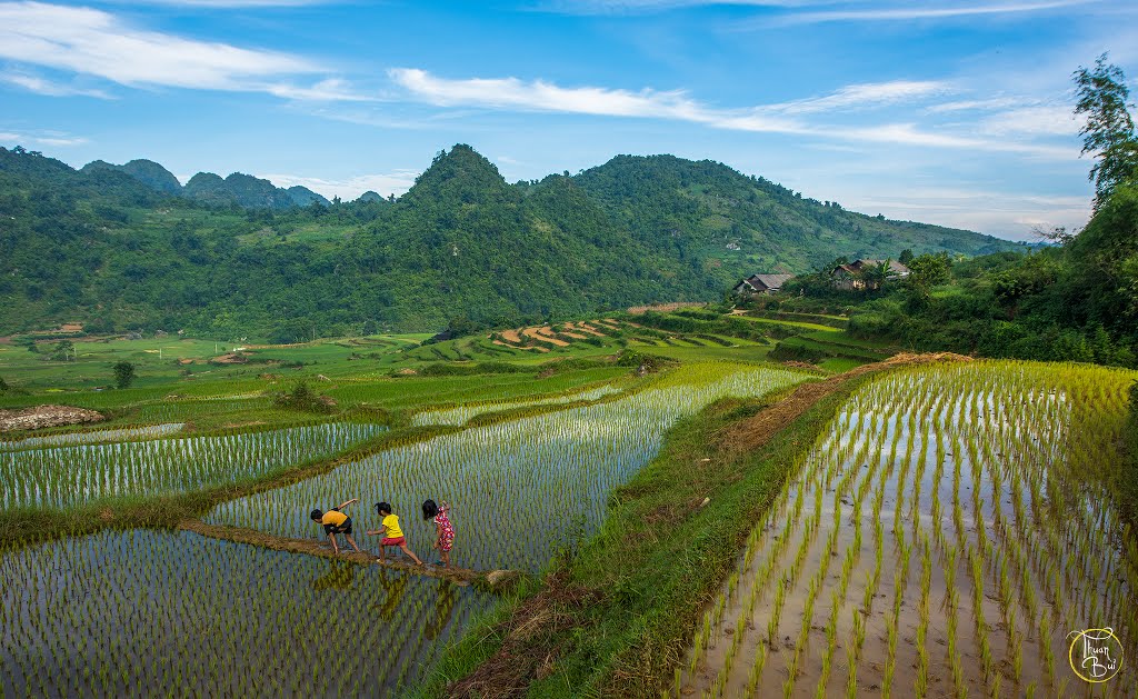 Ruộng bậc thang, xã Tân Văn, huyện Bình Gia by Thuận Bùi