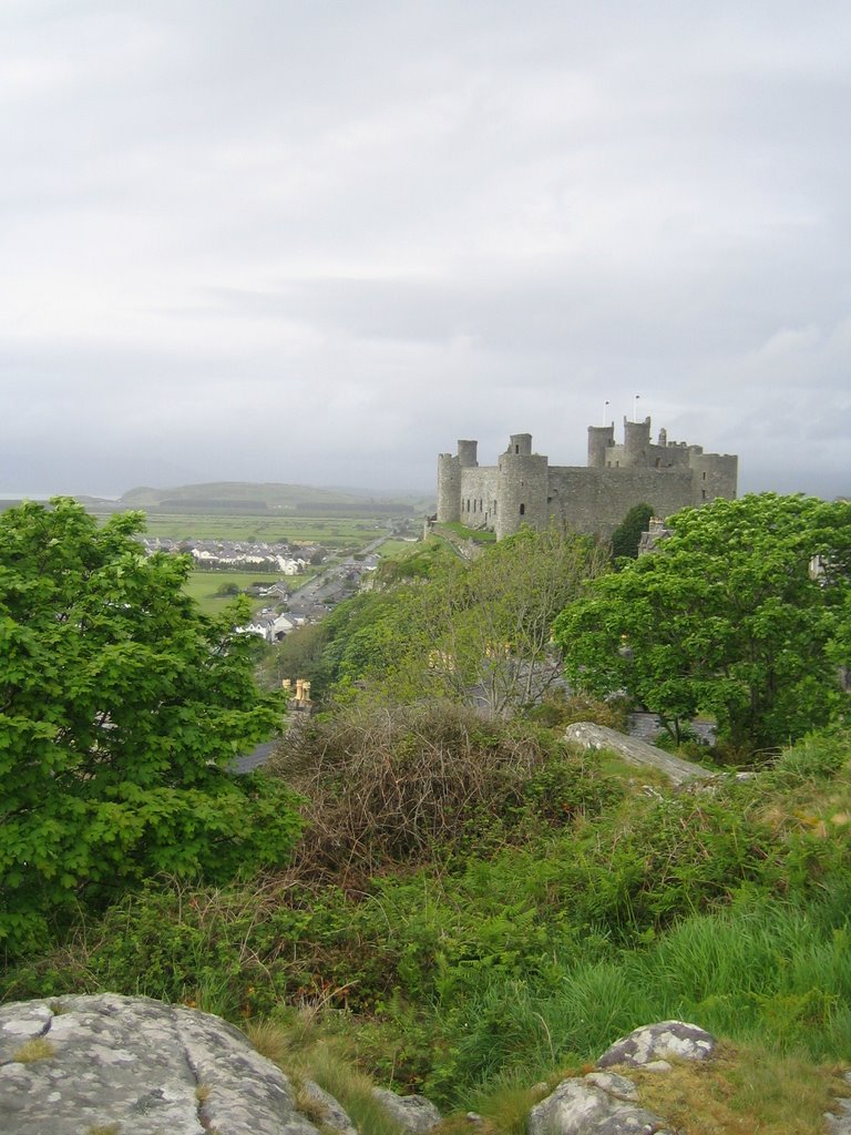 Harlech castle by rich.f