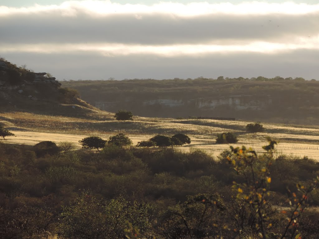 Campo de ouro by fabiano master