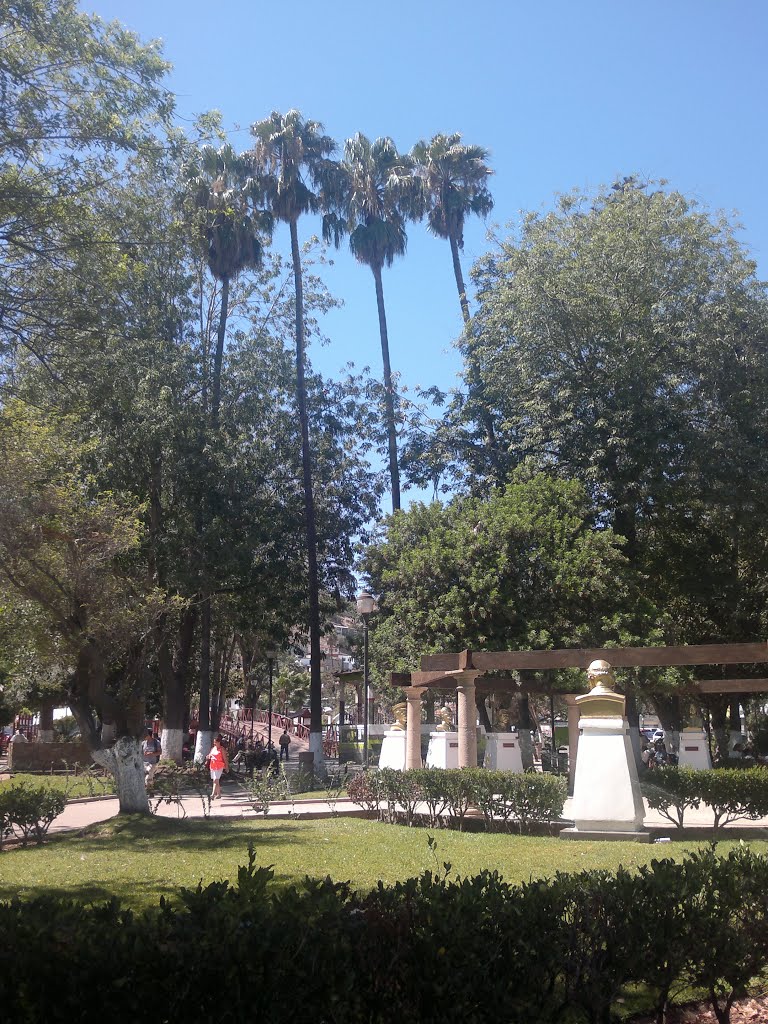 Palmeras del Parque Revolución by Gabriel M. SalvadoR