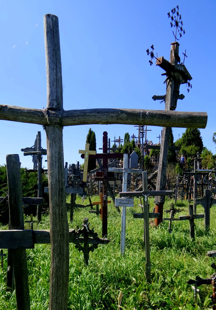 Hill of Crosses, Lithuania by Renatorius (Reno)