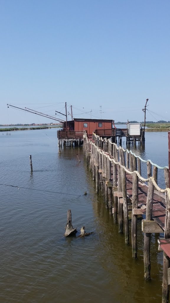 Pesca nelle valli di Comacchio by rebo47