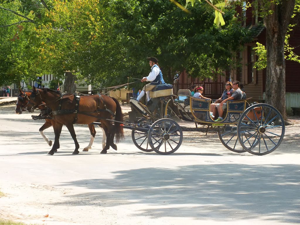 Horse & Carriage by Ozymandias