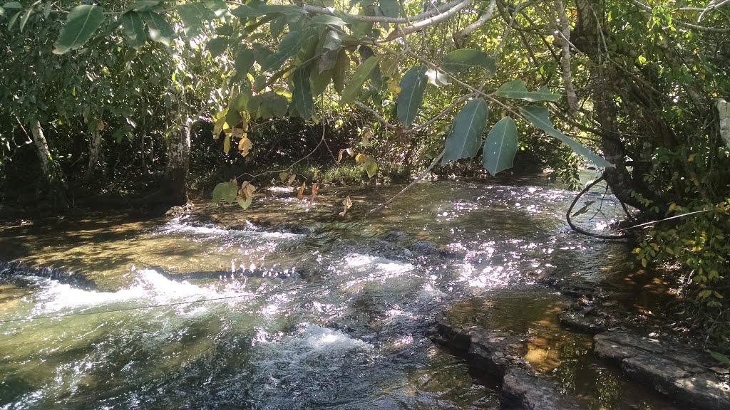 Rio Juba - Barra do Bugres - Mato Grosso - Brasil by Nivas Larsan