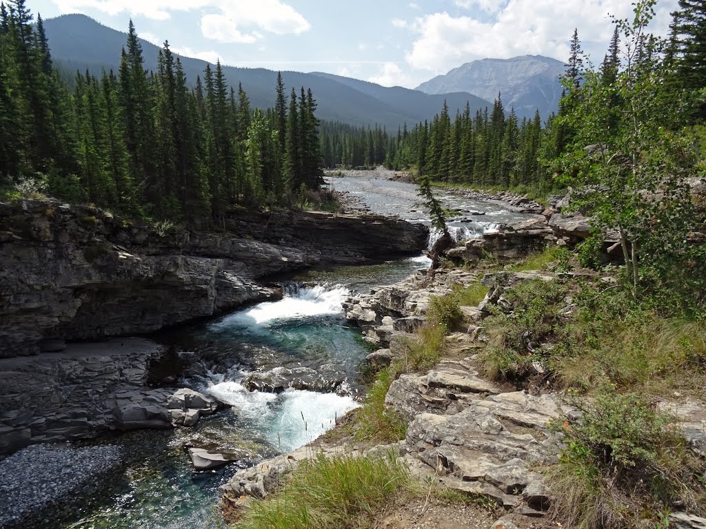 Sheep River Falls by John Bissett