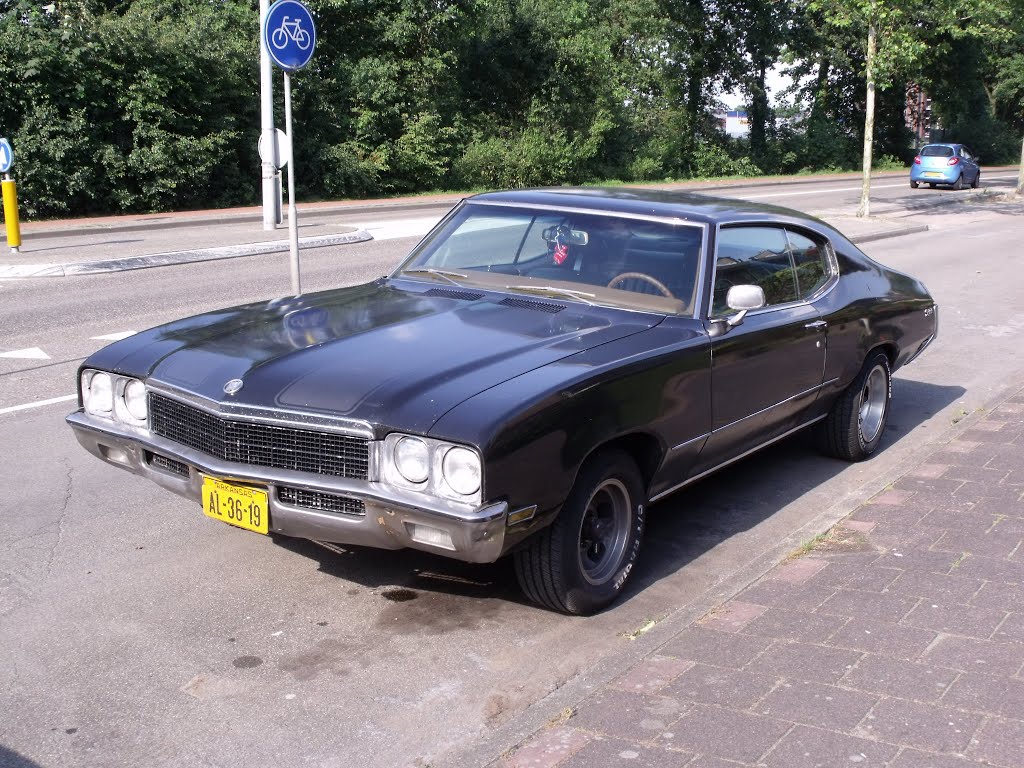 Buick Skylark by Norbert Banhidi