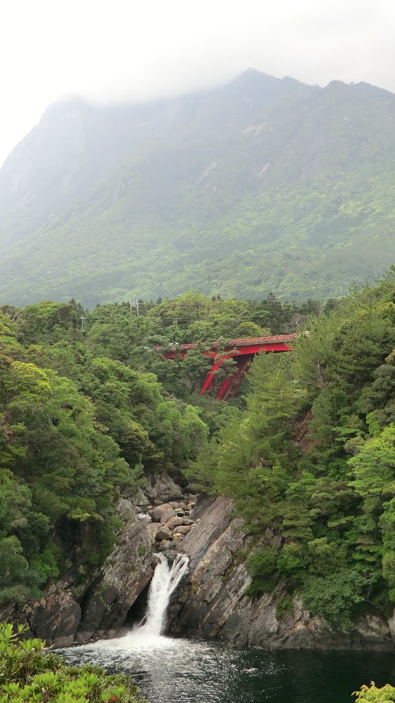 Mugio, Yakushima, Kumage District, Kagoshima Prefecture 891-4402, Japan by Teras Yas