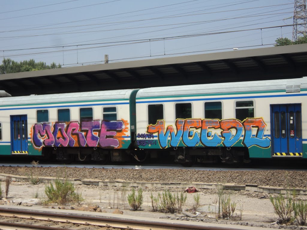 Graffiti on rolling stock in Rome by Nicholas Frisardi