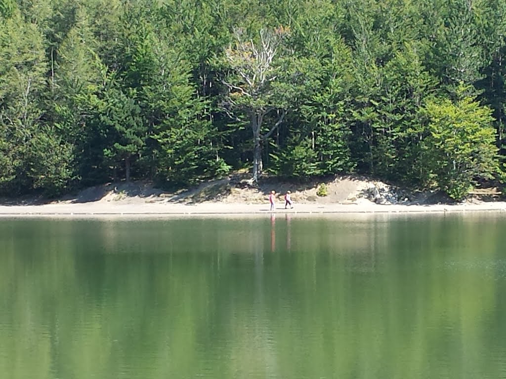 Verde lago - Ramiseto (RE) #AL by Angelo Leone (Algora…