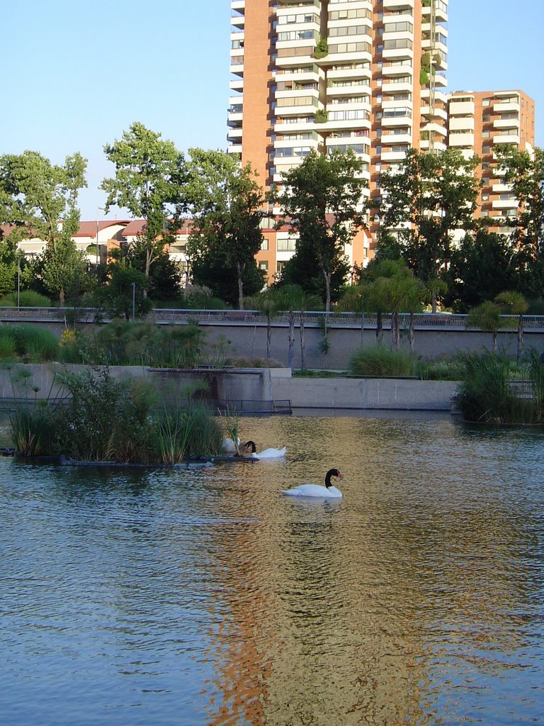 Laguna Parque Bicentenario, Vitacura by diesilvac