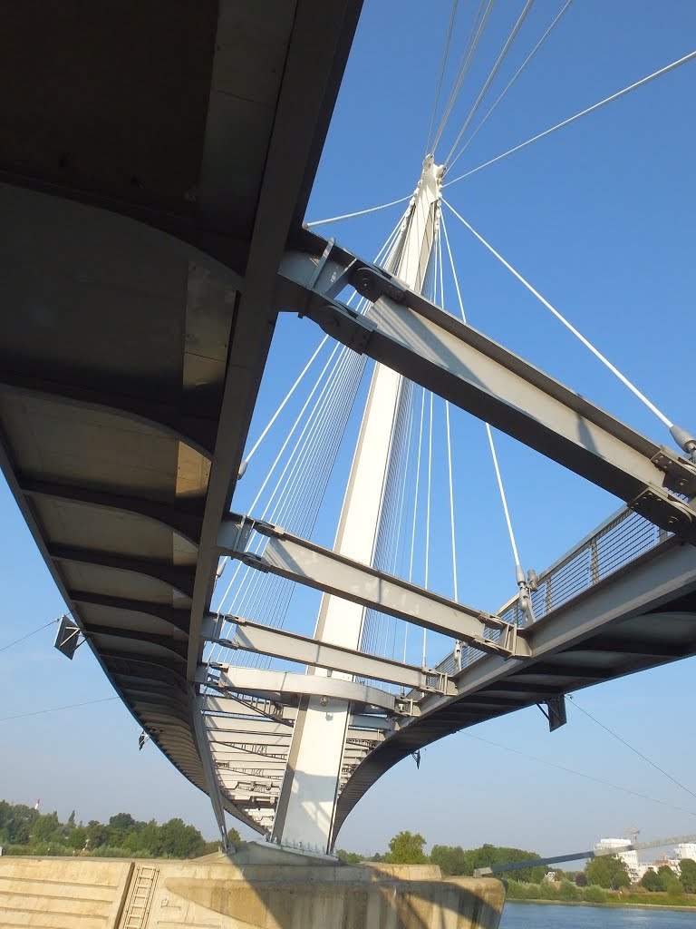 The Passerelle Mimram, Kehl, Baden-Wurtenberg, Germany by A Shropshire Lad