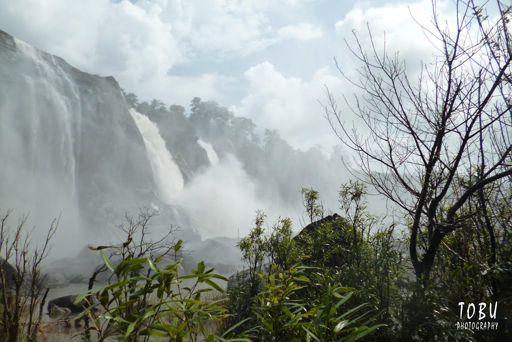 Athirappilly water falls, Thrissur by Tobu Jacob.T