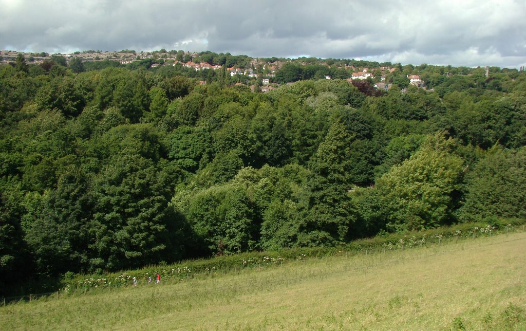 Looking towards Fulwood from the Mayfield Valley, Sheffield S10 by sixxsix