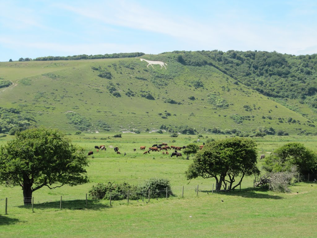 Litlington White Horse, East Sussex by oldchippy