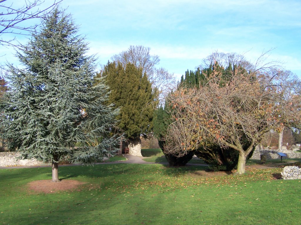 Abbey Gardens, Bury St Edmunds by FerrazMiller