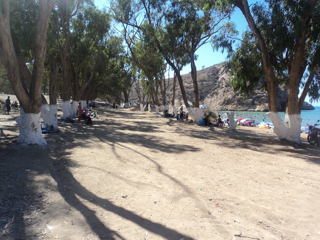 Marssa Ben M'hidi, plage Muscarda. by AZIZ GUETTATFI