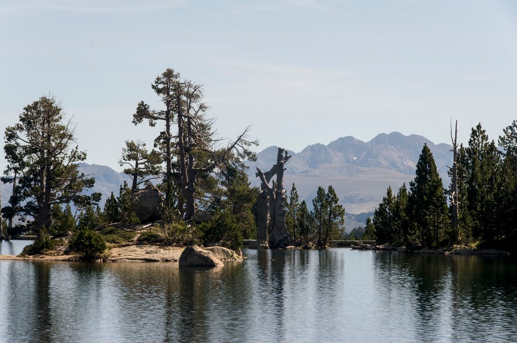 ESTANY TORT DE PEGUERA I PICA D'ESTATS AL FONS by Antonio Saez Torrens