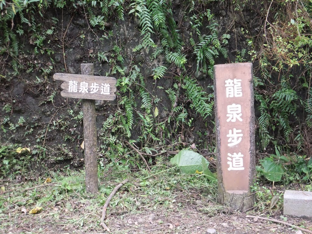 266, Taiwan, 宜蘭縣三星鄉集慶村 by Tim Chou