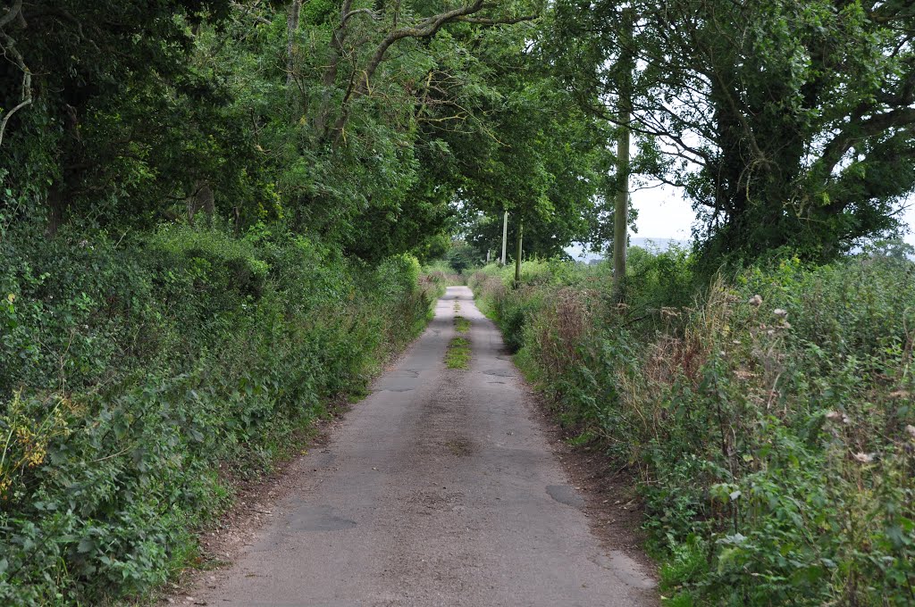 Broad Clyst, UK by A Photographer