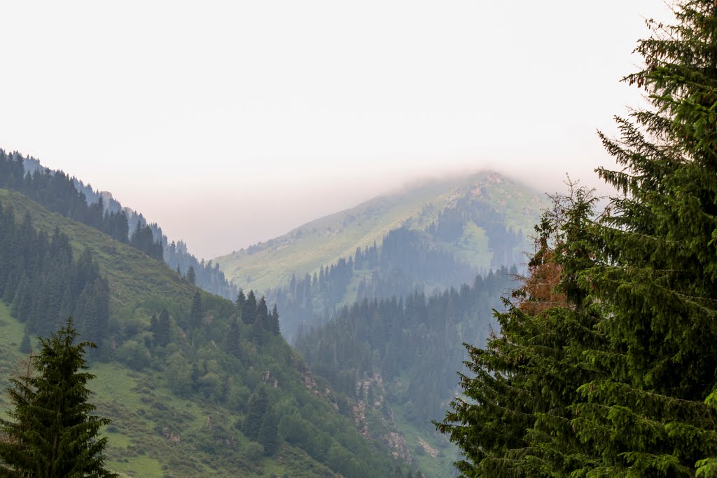 Butakovka gorge / Бутаковское ущелье by Tihon Butin