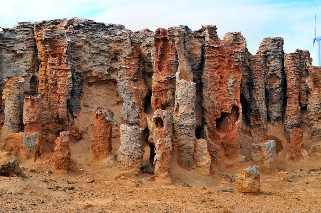 Petrified Forest, Cape Duquesne by Dirk Veltkamp